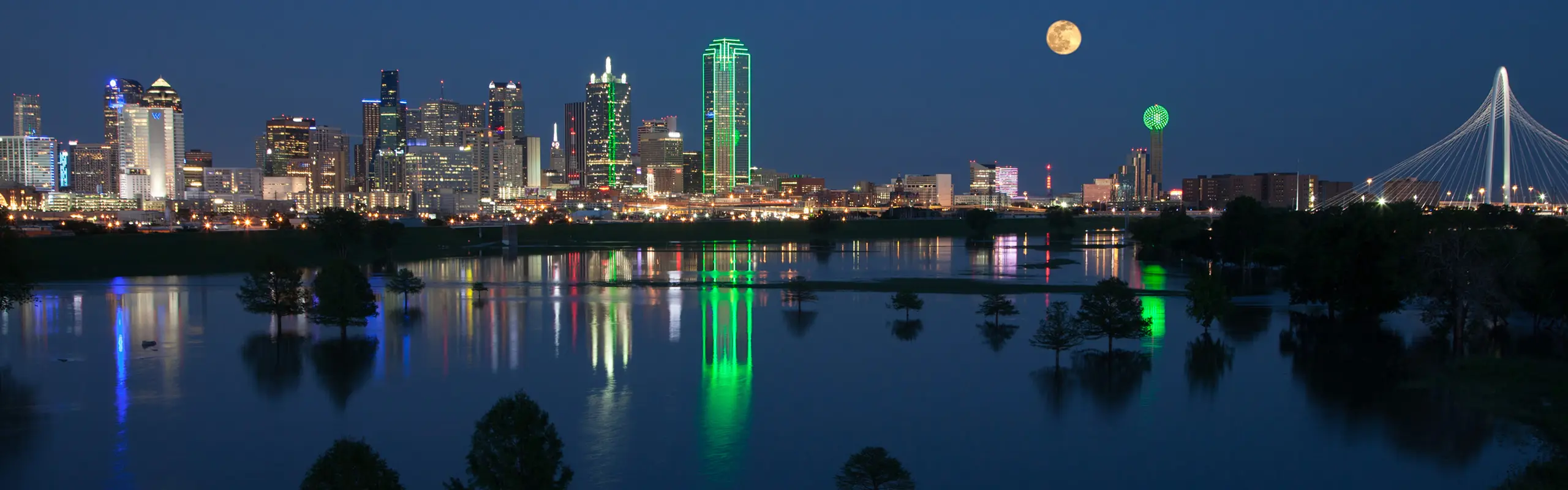 Dallas Texas Sklyline